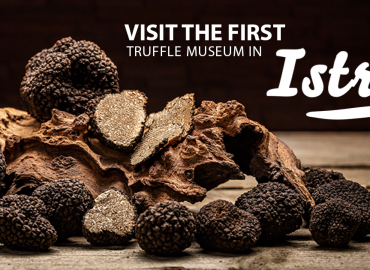 Truffle Museum in Istria